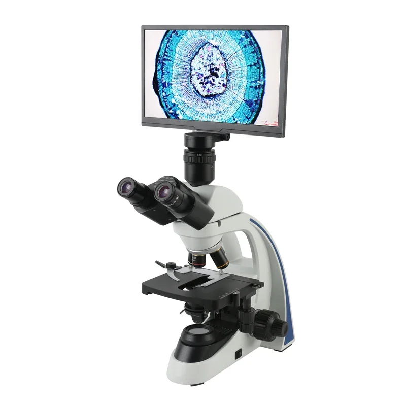 Medical Lab Professional - FHD 1080P 11.6 