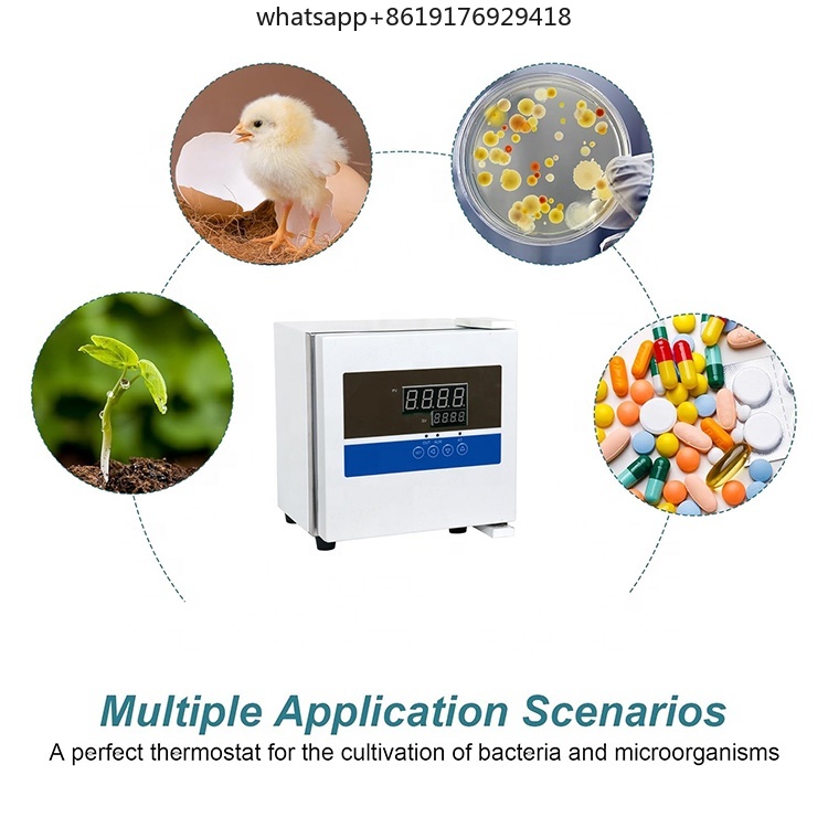 Inkubator Bakteriologi Portabe - Lab Incubator ulasan dan harga