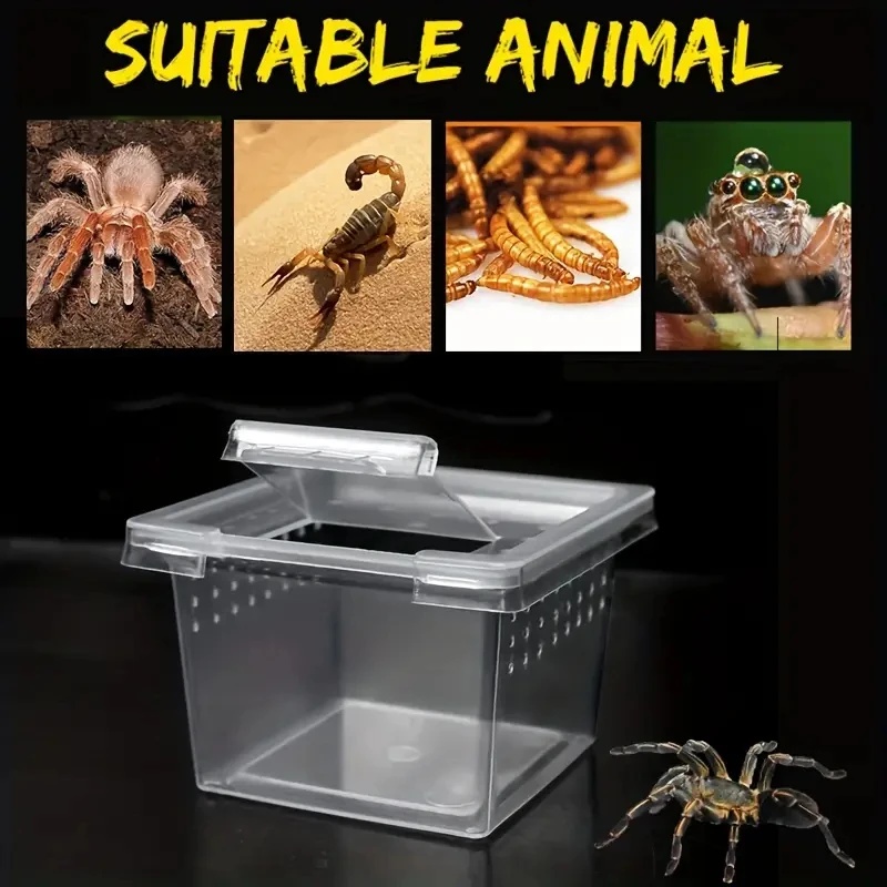 10 Kotak Makan Kandang Reptil  - Lab Incubator ulasan dan harga