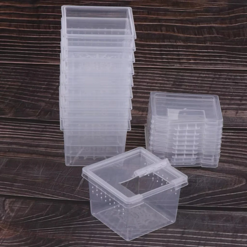 10 Kotak Makan Kandang Reptil  - Lab Incubator ulasan dan harga