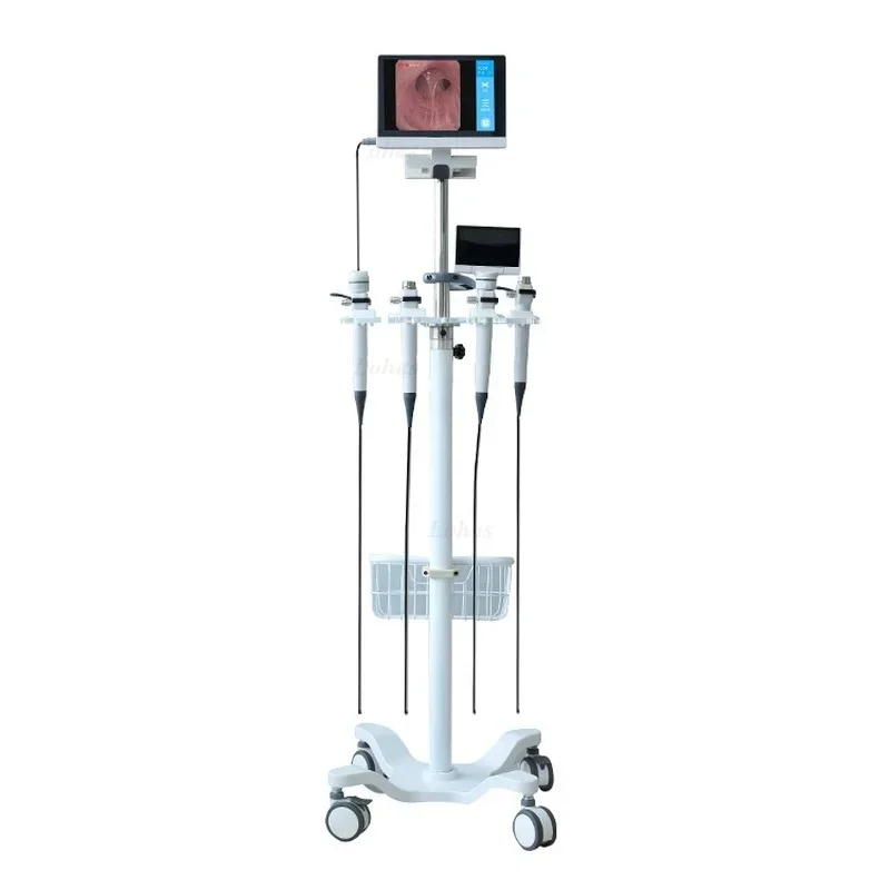 LHBF Por HD Video Flexible Bro - Medical Lab Video ulasan dan harga